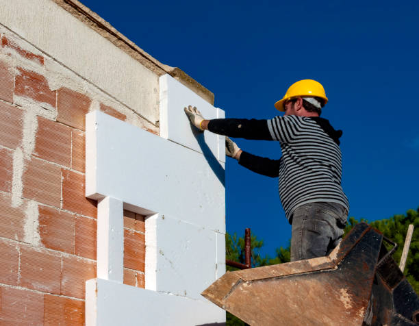 Best Residential Insulation in Le Roy, IL
