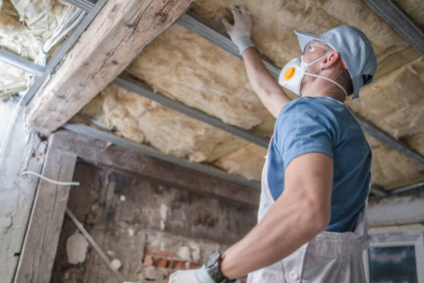 Best Insulation Installation Services in Le Roy, IL