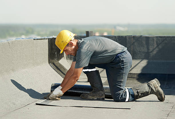 Best Residential Insulation in Le Roy, IL