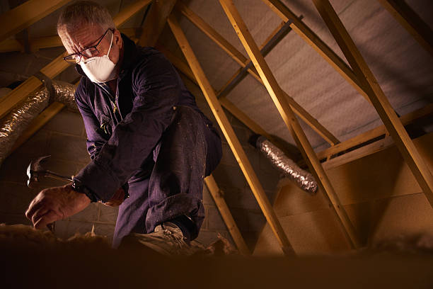 Best Commercial Insulation in Le Roy, IL